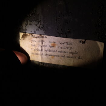 VEGA Group VEGA Group