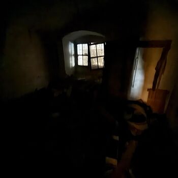 DDT, or the crocodile wasn't home