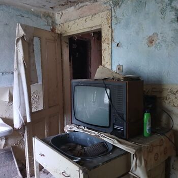 The house by the old vermin factory