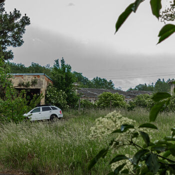 Landwirtschaftliche Fläche