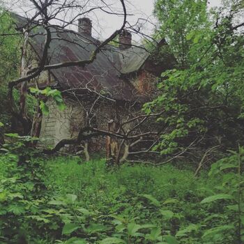 abandoned house abandoned house