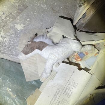 Old dilapidated building