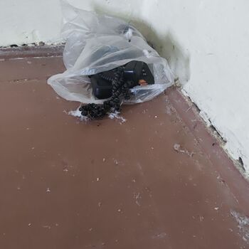 Bahnhof Jihlava Stadt_2024 Bahnhof Jihlava Stadt_2024