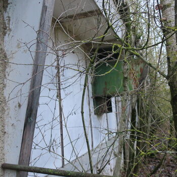 Barevná Drůbežárna