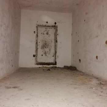 Buňka staré zeď Architektura Buňka staré zeď Architektura