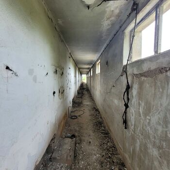 Probably a ceramicist .......