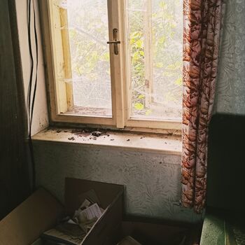 Doch eines Tages trennte sie der Tod ☠️🖤🕰️