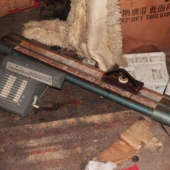 Rieger's Villa Rieger's Villa