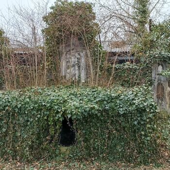 Friedhof 2022 Friedhof 2022