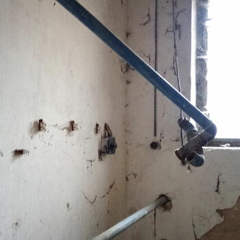 Abandoned cowshed and small abandoned plot 2021