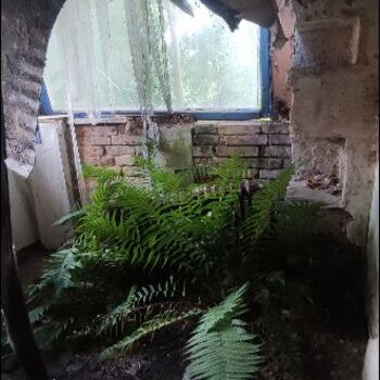 Haus von H.Z 🌿🪴🏚️ Haus von H.Z 🌿🪴🏚️