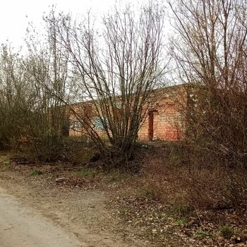 strom krajina Les podzim