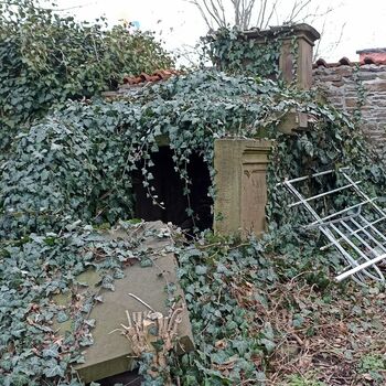 Friedhof 2022 Friedhof 2022