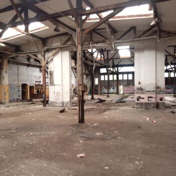 Railway depot in the middle of the "forest" 2024