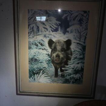 A grove in the borderlands.