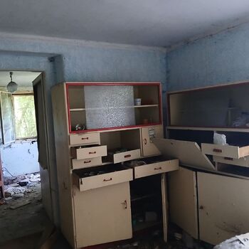 The house by the old vermin factory