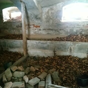 Ehemalige Mühle 2021 Ehemalige Mühle 2021