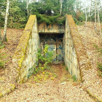 plot červa plot krajina strom