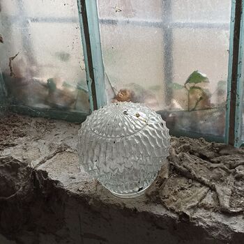 Militärische Verwaltung 2024