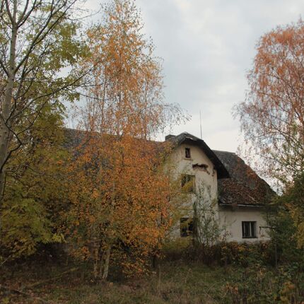 Descriptive number 35