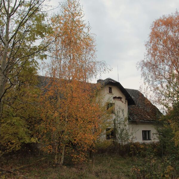 Descriptive number 35