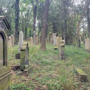 Old Jewish cemetery Old Jewish cemetery