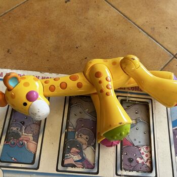 Former camp Corsica 2023