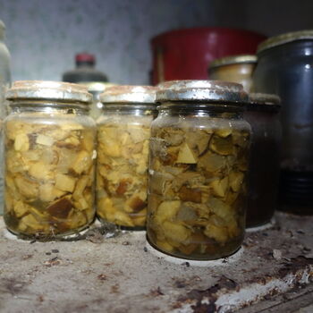 Dům u čarodějnice