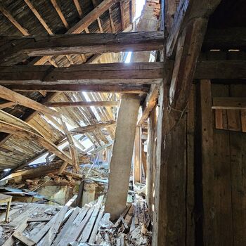 Das Haus beim Plüschtier.