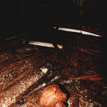 Not only the joinery of one ZPA Not only the joinery of one ZPA