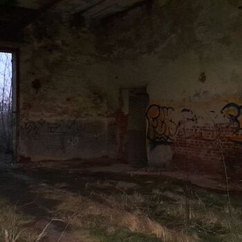 Calf (2025) Calf (2025)