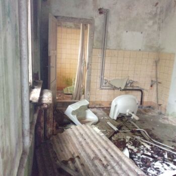 Railway depot in the middle of the "forest" 2024