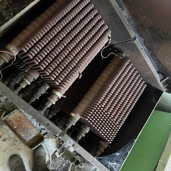 hory, DOLY, černý pes