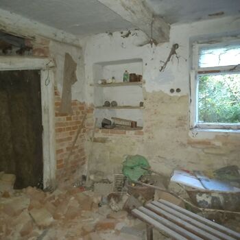 Homestead with a pond