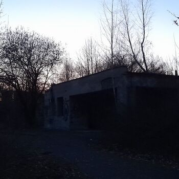 Calf (2025) Calf (2025)