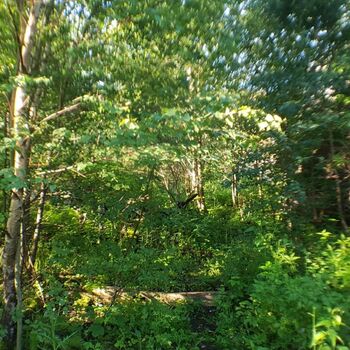 Urbex - 2022 Šumava - Vražedná p......