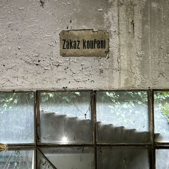 ᴅᴏᴍᴇᴋ ꜱ 🗡️