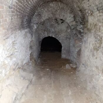 🏰Ein Schloss in Schwierigkeiten. Mit einem großen Keller.