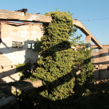 Landwirtschaftliche Fläche mit Hopfentrocknungsanlage 2023