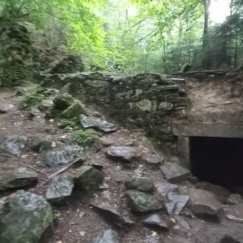 ruins of the blue house