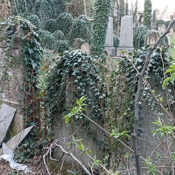 Jüdischer Friedhof 2024