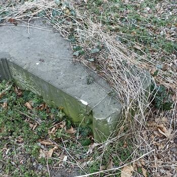 Friedhof 2022 Friedhof 2022