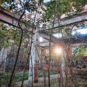 Hopfentrocknungsanlage