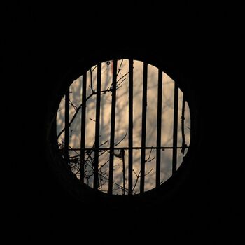 Schweinehüter Schweinehüter