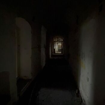 Aunt Omega, or I Believe in Fairies