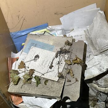 ᴅᴏᴍᴇᴋ ꜱ 🗡️