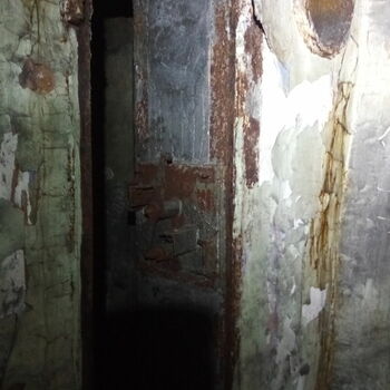cell old wall wood cell old wall wood