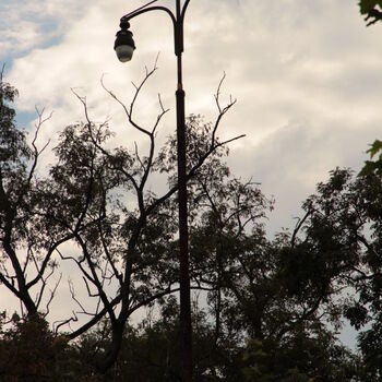 Barrandovské ohlédnutí