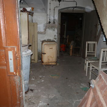 A grove in the borderlands.