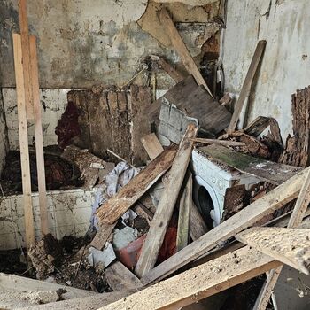 Das Haus beim Plüschtier.